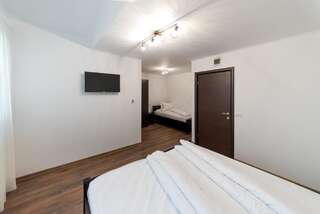 Мотели Dr House Mioveni Трехместный номер с ванной комнатой-7